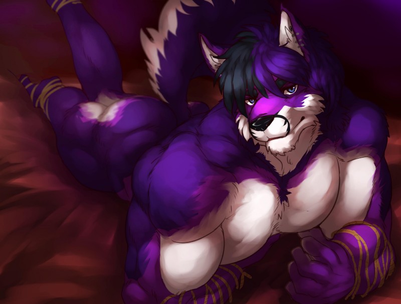 anthro athletic barazoku biceps big_muscles biped black_hair black_nose blue_eyes butt fur hair looking_at_viewer lying male muscular muscular_anthro muscular_male nude on_front pecs purple_body purple_fur purple_hair rope solo white_body white_fur istani shyloc canid canine canis fox hybrid mammal wolf hi_res