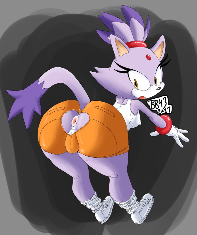 blaze the cat (sonic the hedgehog (series) and etc) created by bullet-blast-43