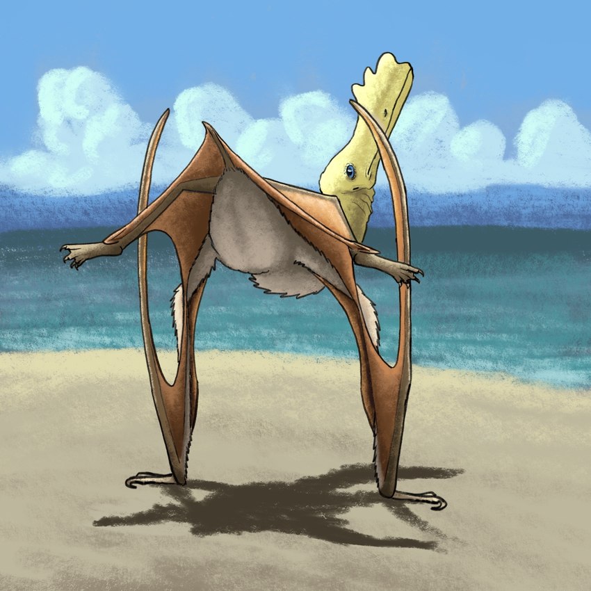 ambiguous_gender beak blue_eyes bone_frill brown_body brown_wings butt claws feathers feral frill_(anatomy) handstand looking_at_viewer looking_back looking_back_at_viewer membrane_(anatomy) membranous_wings presenting presenting_hindquarters raised_head rear_view sand sea shadow shoreline sky solo tail water wings sauriancyh prehistoric_species pterosaur reptile scalie skiphosoura 1:1 2024 hi_res