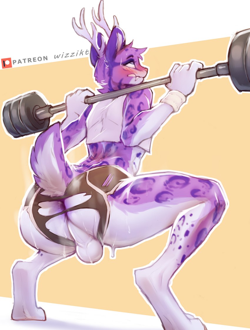 anthro antlers anus athletic_wear backsack balls bodily_fluids butt clothing crop_top crouching digitigrade exercise folded_ears from_behind_position fur genitals horn leopard_spots low-angle_view male markings musk perineum purple_body purple_eyes purple_fur scut_tail sex shirt short_tail solo spots spotted_body sweat sweatdrop tail topwear torn_clothing wardrobe_malfunction weightlifting white_body white_fur workout wizzikt cleovelot clouded_leopard deer felid hybrid mammal new_world_deer pantherine white-tailed_deer absurd_res digital_media_(artwork) hi_res shaded