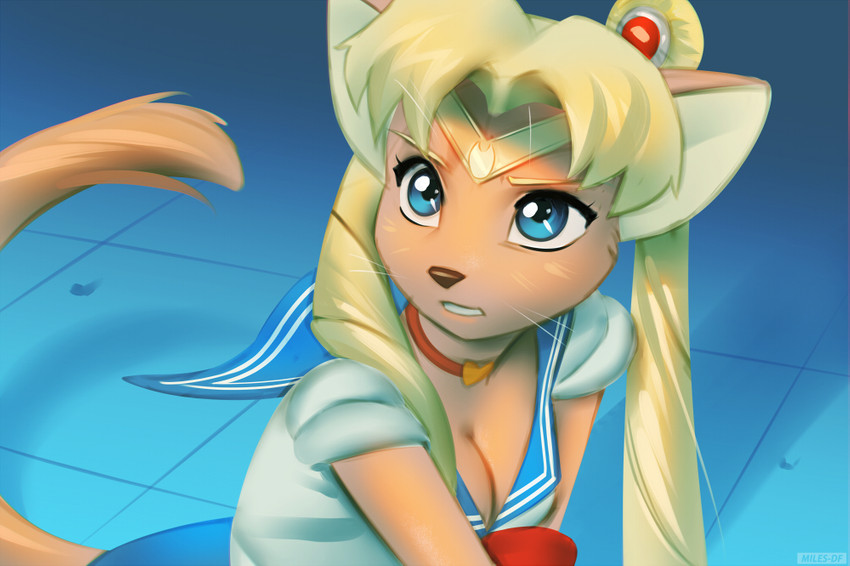 sailor moon (sailor moon redraw challenge and etc) created by miles df