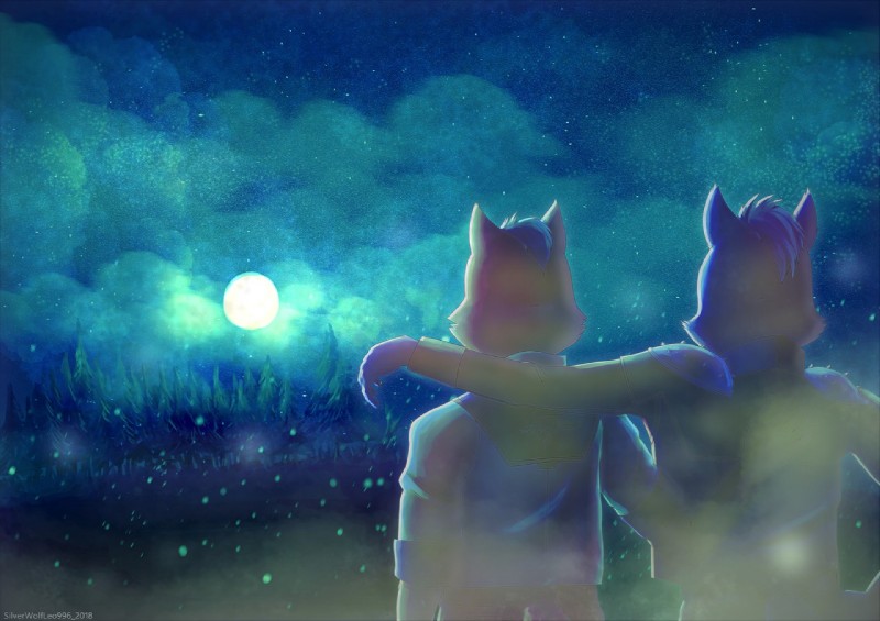 fox mccloud and wolf o'donnell (nintendo and etc) created by silverwolfleo996