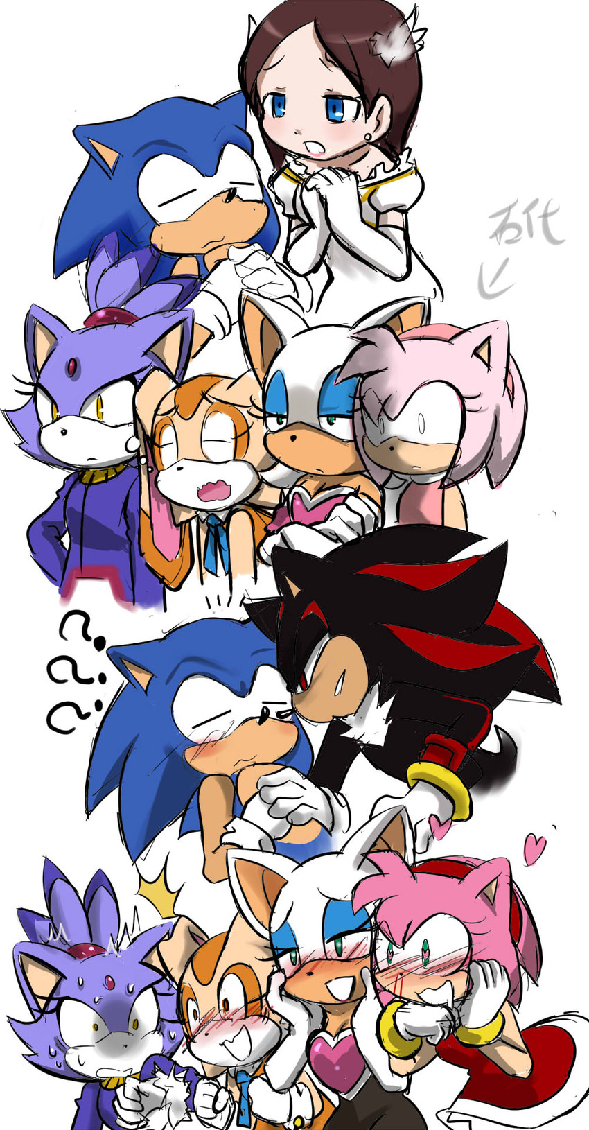 princess elise the third, shadow the hedgehog, sonic the hedgehog, cream the rabbit, blaze the cat, and etc (sonic the hedgehog (series) and etc) created by garugirosonicshadow