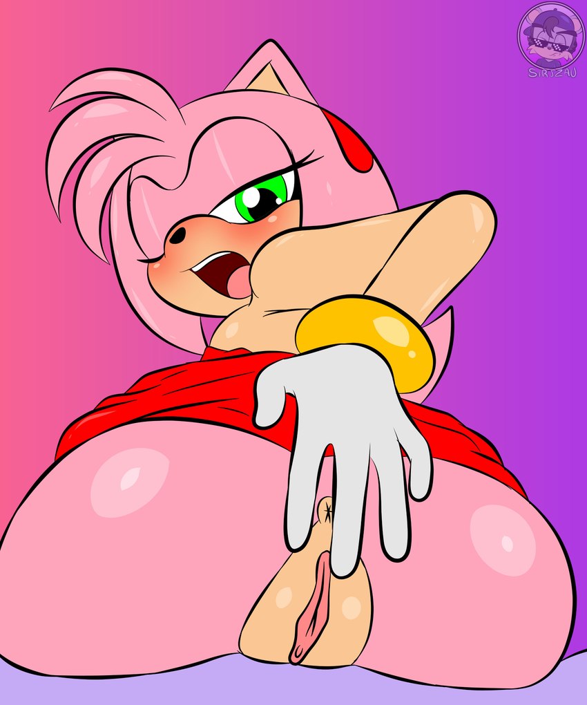 amy rose (sonic the hedgehog (series) and etc) created by sirjzau