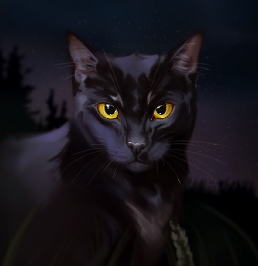 ambiguous_gender black_body black_fur black_nose feral fur glistening glistening_eyes grass looking_at_viewer mouth_closed night outside plant red_inner_ear sky solo star tree whiskers yellow_eyes blackscour domestic_cat felid feline felis mammal