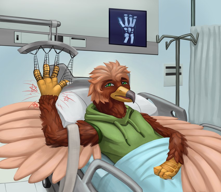 4_fingers 4_toes anthro arm_tuft beak bed biped bottomwear broken_arm broken_wing broken_wrist brown_body brown_feathers cheek_tuft claws clothing digitigrade facial_tuft feathered_tail feathered_wings feathers feet fingers furniture green_clothing green_eyes grey_beak hospital leg_tuft multicolored_beak pain pain_stars radiograph scuted_hands scutes shorts tail tail_tuft talons tan_body tan_feathers toes topwear traction tuft two_tone_beak white_claws winged_arms wings wrist_tuft yellow_beak knopenri pavlos_andriades accipitrid accipitriform avian bird eagle golden_eagle true_eagle absurd_res hi_res nonbinary_(lore)