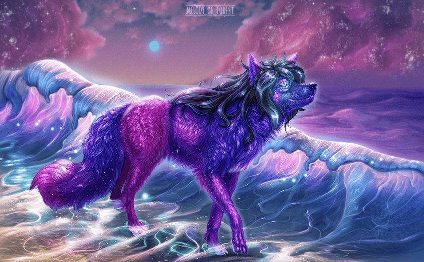 beach big_tail bioluminescence black_hair claws cloud cosmic cosmic_background cosmic_fur digitigrade female feral feral_with_hair flowing_hair fluffy fluffy_tail fur glowing glowing_eyes hair long_fur long_hair long_tail looking_ahead looking_up medium_snout paws pose sea seaside smile snout solo surrealism tail walking water wave melodyofforest canid canine fox mammal artist_name blue_theme cool_colors hi_res purple_theme