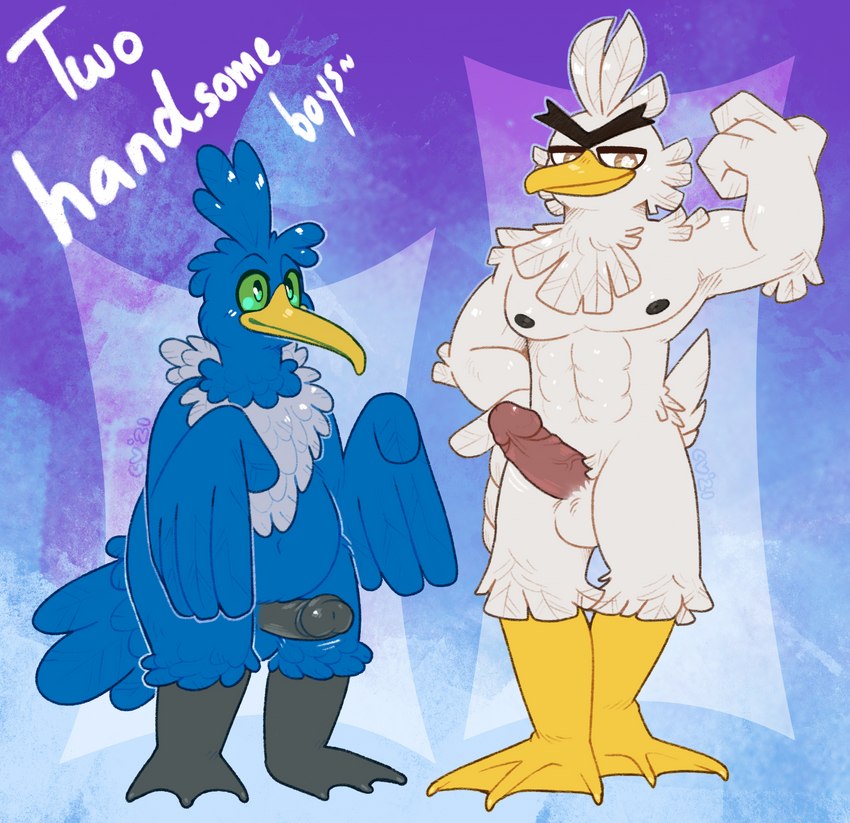 balls blue_body blue_feathers duo feathers flexing genitals male male/male muscular penis slightly_chubby text white_body white_feathers crownedvictory nintendo pokemon avian cramorant generation_8_pokemon pokemon_(species) sirfetch'd 2021 absurd_res english_text hi_res