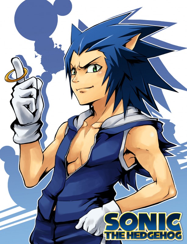 sonic the hedgehog (sonic the hedgehog (series) and etc) created by mazjojo