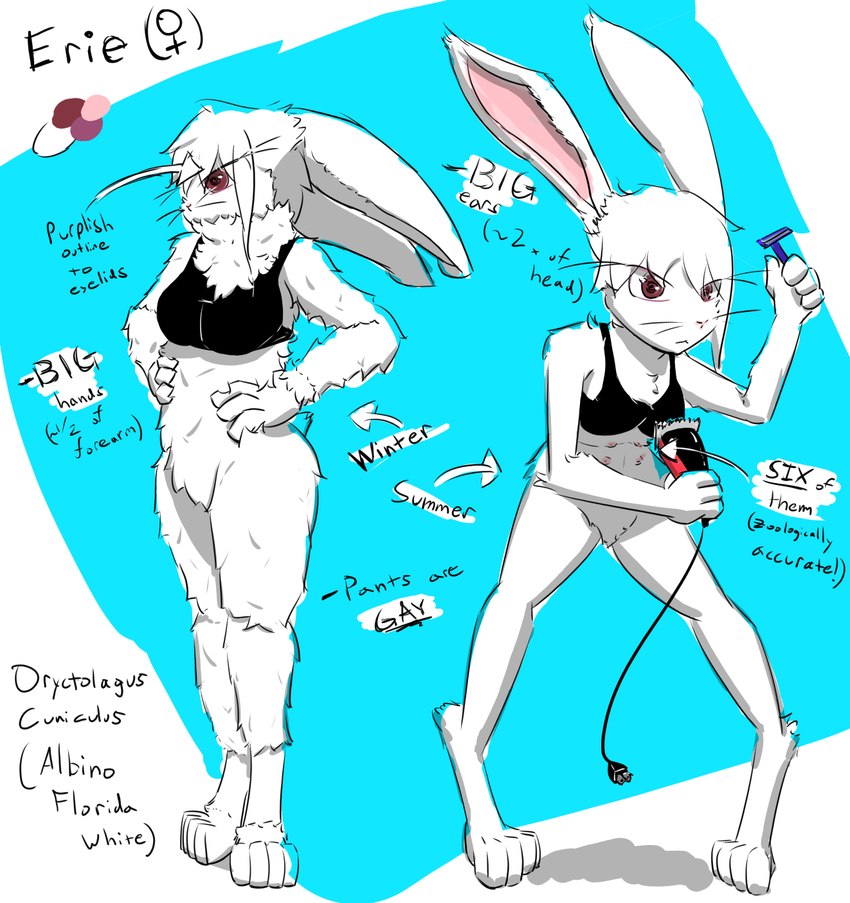 created by 4chan anon