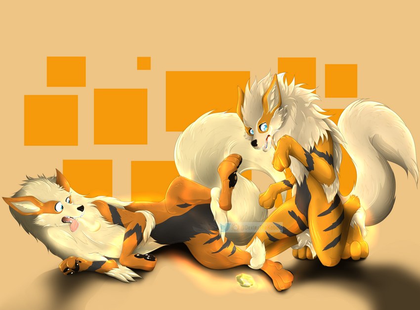 duo feral fire fluffy fluffy_tail male neck_tuft tail transformation tuft dexterthekobold firestone nintendo pokemon arcanine canid canine generation_1_pokemon mammal pokemon_(species) hi_res