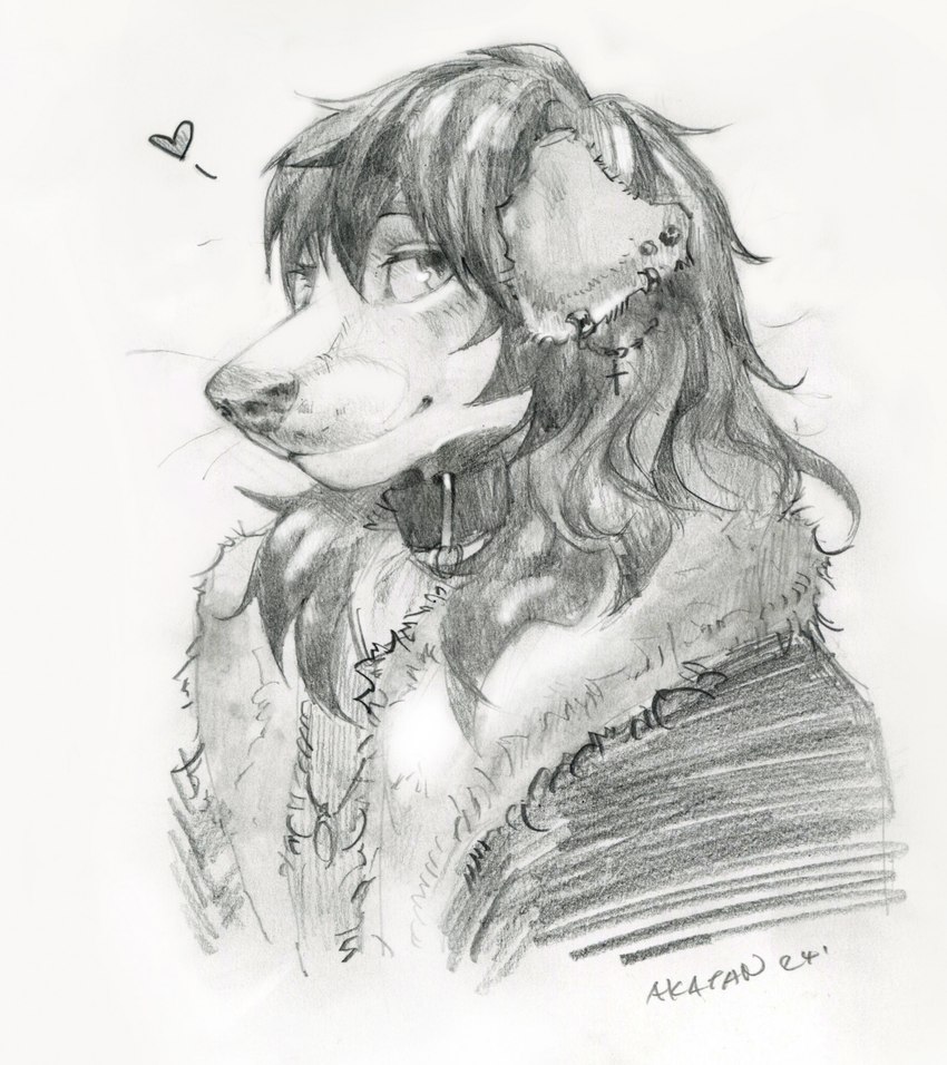 anthro collar furgonomics furry-specific_piercing hair heart_symbol long_hair male piercing solo winter_coat akatan_art goth_dog_(akatan) canid canine canis domestic_dog mammal bust_portrait graphite_(artwork) greyscale hi_res monochrome portrait traditional_media_(artwork)