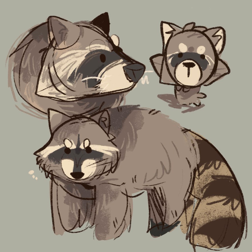 ambiguous_gender anthro bar_emanata dot_eyes emanata feral front_view grey_background looking_at_viewer side_view simple_background solo scraffyraccoon mammal procyonid raccoon 1:1 2020 sketch