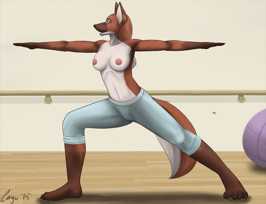 4_toes anthro bare_breasts barefoot big_breasts bottomwear breasts camel_toe claws clothed clothing collarbone exercise_ball feet female floor front_view fur gym hair humanoid_hands inside nipples no_bra pants plantigrade railing red_body red_fur red_hair red_tail solo spread_toes standing tail three-quarter_view toes topless topless_anthro topless_female white_wall wood wood_floor yoga yoga_pants cayo daniella_(cayo) canid canine canis mammal maned_wolf wolf