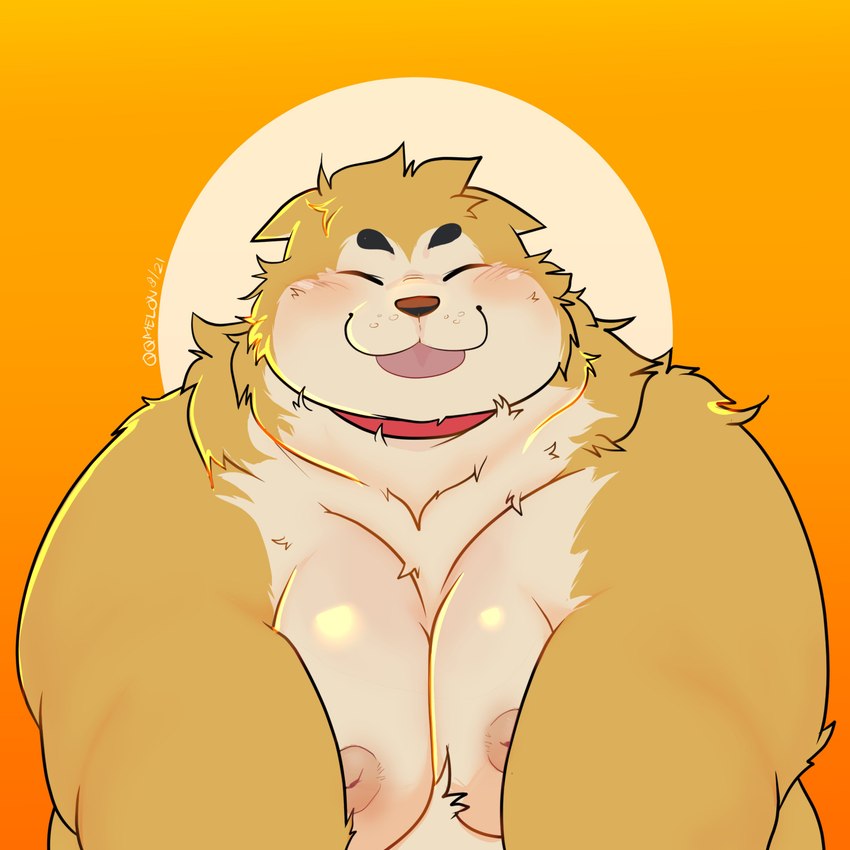 anthro belly blep blush brown_body brown_fur collar eyes_closed front_view fur kemono male moob_squish moobs nipples overweight overweight_male simple_background solo tongue tongue_out qqmelon888 ragna_(ragnacutie) canid canine canis domestic_dog mammal shiba_inu spitz 1:1 2021 absurd_res half-length_portrait hi_res icon portrait