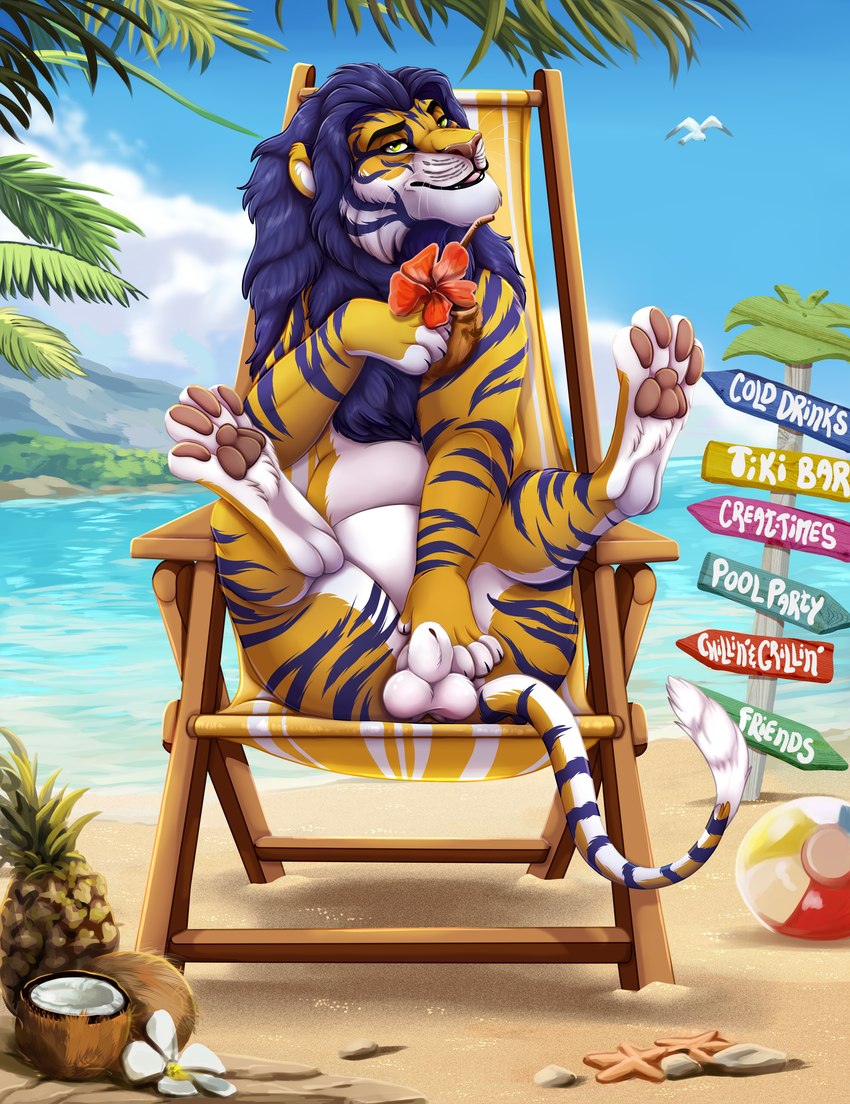 animal_genitalia ball beach chair feral fur furniture genitals male nude nudist sand seaside solo xtreme3246 microsoft the_elder_scrolls kovu_muabdib felid hybrid khajiit liger mammal pantherine tiger absurd_res hi_res