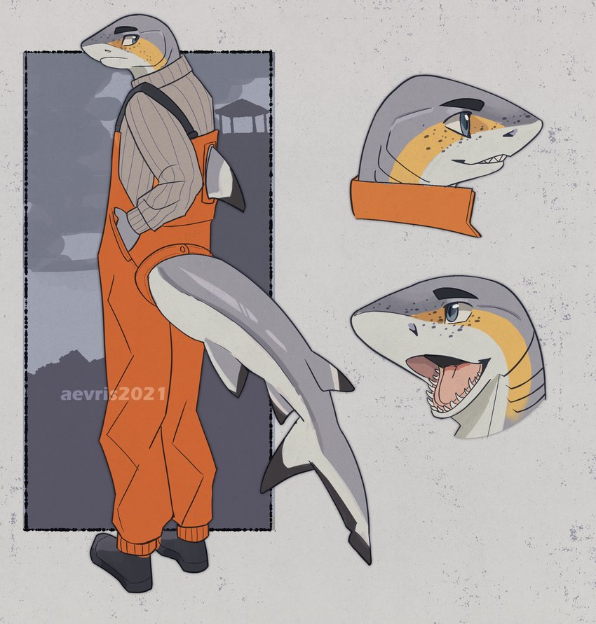 anthro biped clothed clothing countershade_tail countershading dorsal_fin eyebrows fin freckles gills grey_body male open_mouth sharp_teeth solo tail tail_fin teeth tongue aevris blacktip_shark carcharhinus fish marine requiem_shark shark absurd_res hi_res