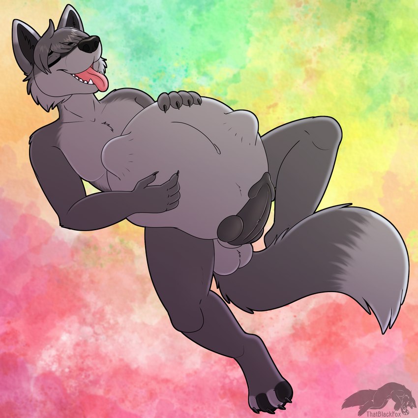 animal_genitalia anthro balls belly_play fully_inside genitals knot male penis sheath slightly_chubby slightly_chubby_male soft_vore solo vore thatblackfox_(artist) kinktober canid canine canis mammal wolf 1:1 absurd_res hi_res