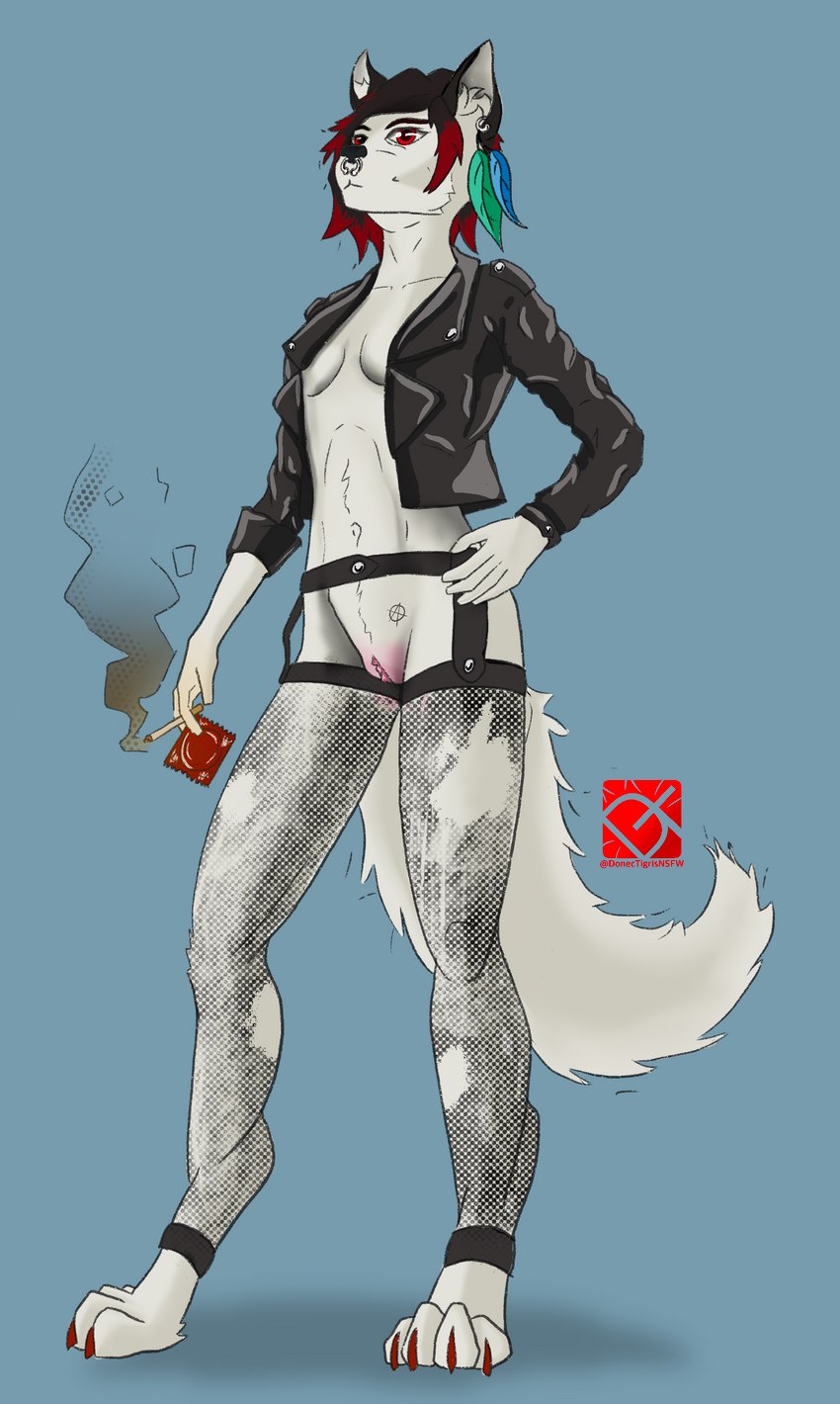 anthro clothing female genitals jacket leather leather_clothing leather_jacket leather_topwear pussy solo topwear donec_tigris canid canine canis mammal wolf absurd_res censored hi_res