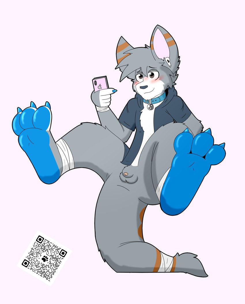 3_toes 5_fingers animal_genitalia anthro balls bandage blue_pawpads blush bottomless bottomless_male cellphone clothed clothing collar electronics feet fingers foot_fetish foot_focus fur genitals grey_body grey_fur grey_hair grey_tail hair hindpaw hoodie male orange_tail pawpads paws phone qr_code sheath simple_background sit_on_tail smartphone solo tail toes topwear two_tone_tail white_background white_body white_fur yin_yang bluizer airpods apple_inc. iphone bluizer_buiz kangaroo macropod mammal marsupial absurd_res hi_res