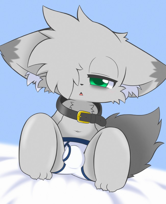 anthro biped blush briefs bulge clothing collar fur green_eyes grey_body grey_fur male navel shota sitting solo tighty_whities underwear white_briefs white_clothing white_underwear young young_anthro chrono_(pixiv) chrome_(character) canid canine mammal 2019 absurd_res hi_res