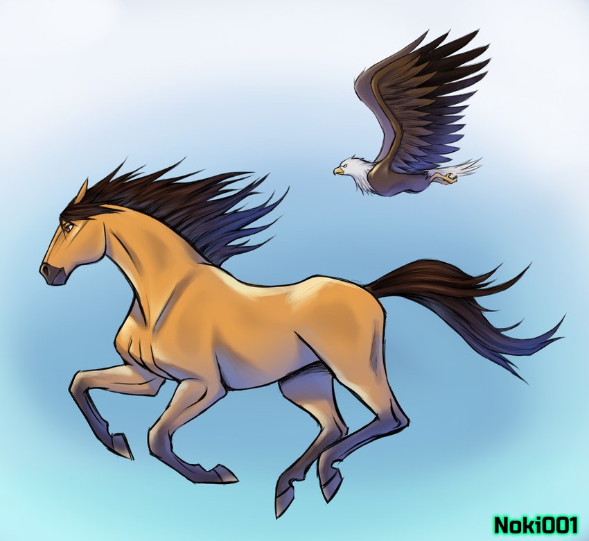 4_legs ambiguous_gender beak brown_body brown_feathers brown_hair duo ears_back feathers feral flying hair hooves mane pivoted_ears running simple_background size_difference tail wings noki001 dreamworks spirit:_stallion_of_the_cimarron spirit_(cimarron) accipitrid accipitriform avian bald_eagle bird eagle equid equine horse mammal sea_eagle hi_res