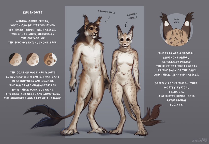 anthro breasts duo ears_up featureless_breasts featureless_crotch female hair larger_male male navel nude simple_background size_difference smaller_female species_sheet spots tail text lostgoose felid feline kruskont_(species) mammal 2024 english_text hi_res model_sheet