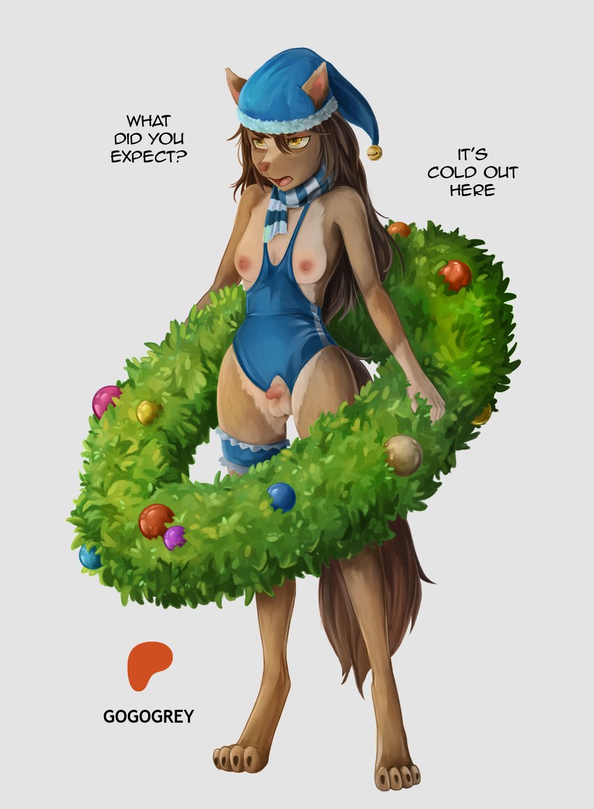 anthro areola balls bell bell_hat black_claws black_toe_claws blue_clothing blue_hat blue_headwear blue_leotard blue_scarf breasts brown_body brown_ears brown_fur brown_hair brown_nose brown_tail christmas_wreath claws clothing fur genitals gynomorph hair half-closed_eyes hat headgear headwear holding_object holidays intersex leotard long_hair multicolored_body multicolored_fur multicolored_scarf narrowed_eyes nipples patreon_logo penis pink_areola pink_nipples question_mark scarf small_balls small_breasts small_penis solo standing tail text three-quarter_view toe_claws tongue two_tone_body two_tone_fur two_tone_hat two_tone_scarf yellow_eyes gogogrey christmas patreon canid canine canis domestic_dog mammal 2024 artist_name digital_media_(artwork) english_text hi_res