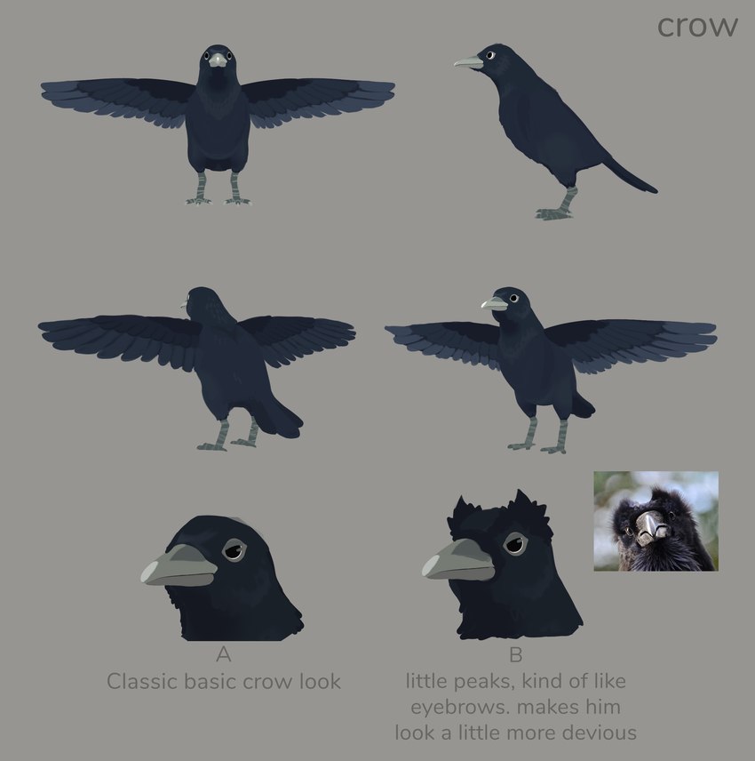 alternate_form ambiguous_gender beak black_body black_feathers claws countershading feathers feral solo spread_wings standing text wings xvalociraptor little_kitty_big_city crow_(lkbc) avian bird corvid corvus_(genus) crow oscine passerine absurd_res concept_art english_text hi_res model_sheet official_art photography_(artwork)