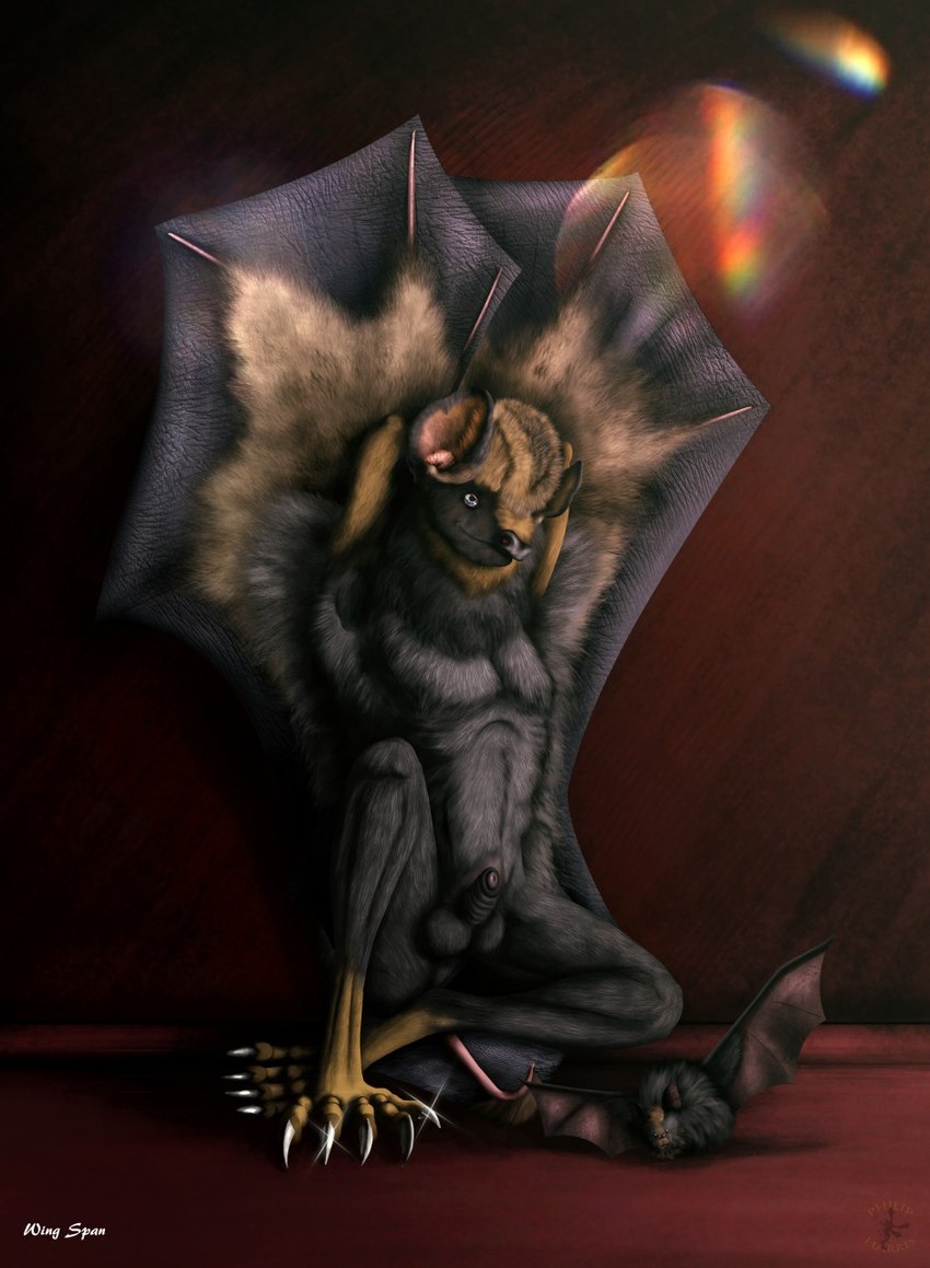 animal_genitalia animal_penis anthro balls bat_ears bat_wings chiropteran_penis claws fur genitals male membrane_(anatomy) membranous_wings penis pose raised_wings seductive sheath simple_background sitting sitting_on_ground solo text wings smexyoryx hermes_(eyegis-garr) bat mammal english_text hi_res pinup