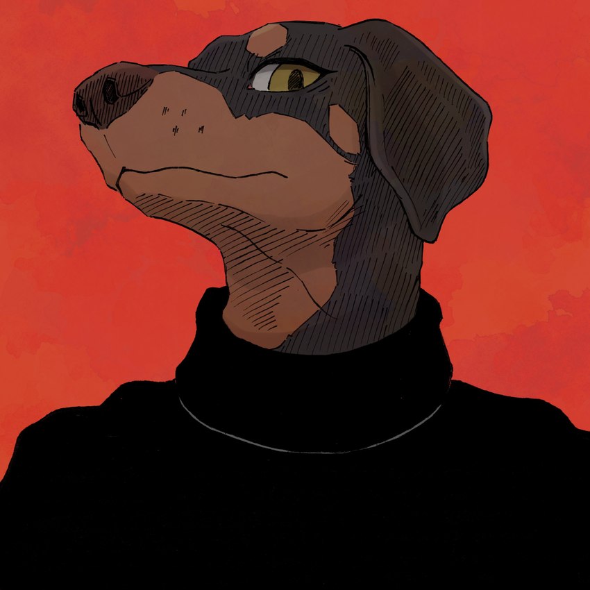 anthro black_clothing black_sweater black_topwear clothing looking_at_viewer red_background simple_background solo sweater topwear turtleneck yellow_eyes hot_dog_wolf canid canine canis dobermann domestic_dog mammal pinscher 1:1 2022 absurd_res bust_portrait hatching_(art) hi_res portrait shaded