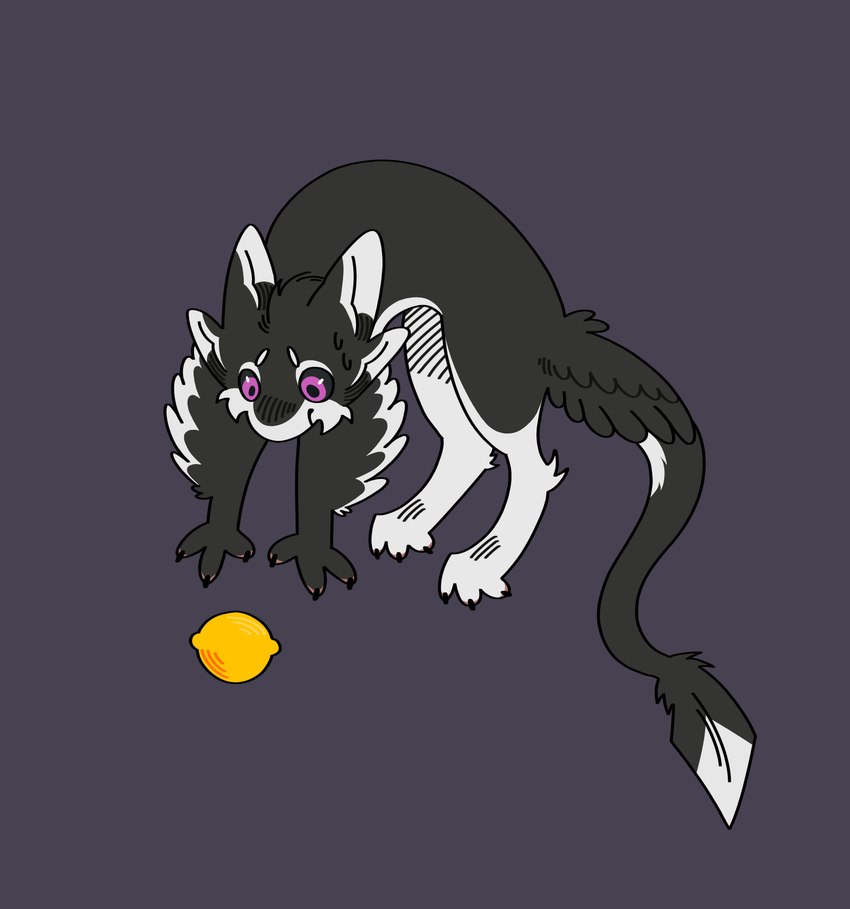 3_fingers 3_toes 4_ears ambiguous_gender big_tail black_body black_feathers black_finger_claws black_fur black_toe_claws chibi claws feathers feet feral fingers food fruit fur hair jumping lemon long_tail looking_at_object midair multi_ear nude pawpads pink_pawpads plant purple_eyes quadruped scared simple_background solo tail toes tuft white_body white_feathers white_fur winged_arms wings andreika_kompas fyr_(fenrir784) avali avian bird 2025 digital_drawing_(artwork) digital_media_(artwork) hi_res