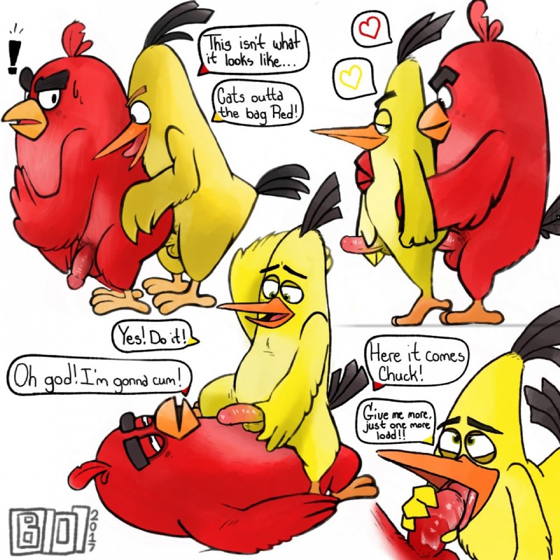 Rule Anal Anal Sex Angry Birds Avian Bird Chuck Angry Birds 