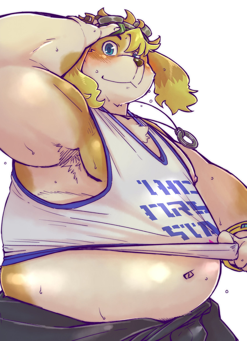 anthro belly blush bottomwear brown_body brown_fur bulge clothing fur kemono male overweight overweight_anthro overweight_male pants shirt simple_background solo tank_top text text_on_clothing text_on_shirt text_on_tank_top text_on_topwear topwear white_background chiro_(artist) lifewonders live_a_hero hisaki_(live_a_hero) canid canine canis domestic_dog mammal 2021 absurd_res english_text hi_res