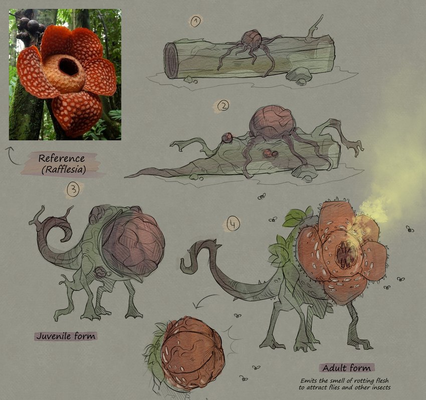 ambiguous_gender feral flower plant quadruped rafflesia solo tail text rappenem elemental_creature flora_fauna flower_creature english_text hi_res reference_image