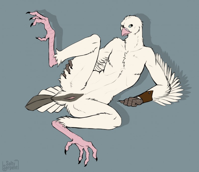 4_toes ambiguous_gender animal_genitalia anisodactyl anthro avian_butt avian_feet beak biped black_claws blue_eyes claws cloaca cuffs_(clothing) feathers feet genitals grey_body grey_feathers grey_hands nude pink_beak pink_feet presenting presenting_cloaca solo spread_legs spreading toes vertical_cloaca white_body white_feathers winged_arms wings saltyserpent daun avian bird columbid dove pigeon digital_media_(artwork) hi_res