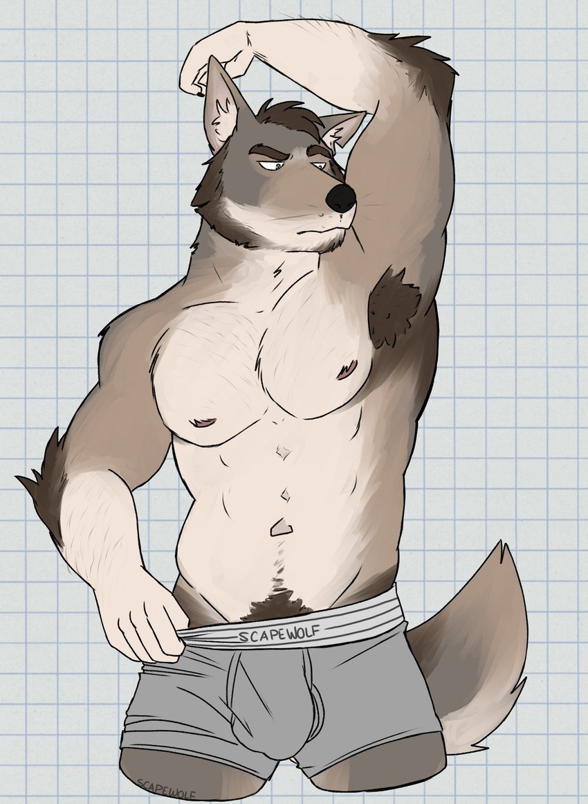 abs anthro arm_hair arm_tuft armpit_hair armpit_sniffing balls_outline beard bedroom_eyes biped black_nose body_hair boxers_(clothing) boxers_only brown_body brown_eyebrows brown_fur brown_hair bulge checkered checkered_background clothed clothing clothing_pull detailed_bulge elbow_tuft eyebrows facial_hair fur genital_outline grey_boxers grey_clothing grey_underwear hair happy_trail inner_ear_fluff male male_anthro multicolored_body muscular muscular_anthro muscular_male narrowed_eyes navel partially_clothed partially_clothed_male pattern_background pecs penis_outline pubes raised_arm raised_eyebrow seductive simple_background sniffing solo standing tan_body tan_fur tan_inner_ear tan_inner_ear_fluff topless tuft underwear underwear_only underwear_pull whiskers white_background yellow_eyes unsafescapewolf echo_(series) echo_project the_smoke_room william_adler canid canine canis coyote mammal 2024 digital_drawing_(artwork) digital_media_(artwork) hi_res portrait three-quarter_portrait