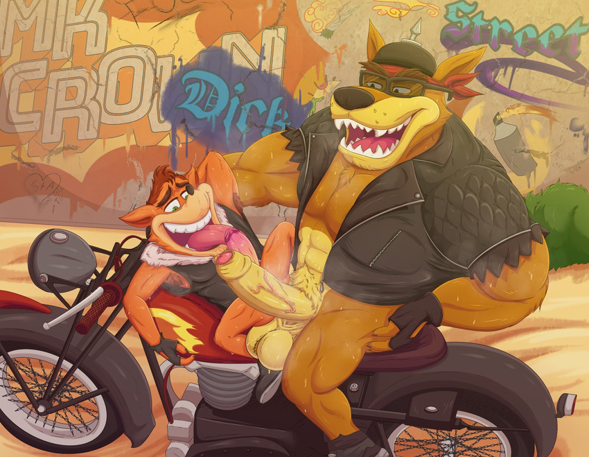 abs anthro balls bodily_fluids bottomless clothed clothing duo foreskin genitals jacket leather leather_clothing leather_jacket leather_topwear male male/male motorcycle muscular muscular_male penis pubes size_difference sweat tongue tongue_out topwear vehicle vein veiny_penis mkcrown activision crash_bandicoot_(series) crash_bandicoot tiny_tiger bandicoot dasyuromorph mammal marsupial recently_extinct_species thylacine hi_res