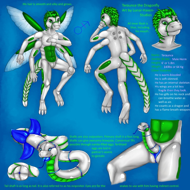 4_arms anthro blue_background blue_eyes genitals green_eyes grey_body insect_wings intersex maleherm multi_arm multi_limb nude ovipositor penis pussy sentient_penis simple_background snake_penis solo tail text unusual_anatomy unusual_genitalia unusual_penis wings lunar-haven-studios mythology teraunce arthropod dragon dragonfly insect mythological_creature mythological_scalie reptile scalie snake 1:1 english_text hi_res model_sheet