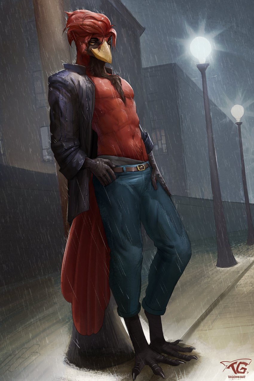 anthro avian_feet beak bottomwear clothed clothing denim denim_bottomwear denim_clothing feathers hair jacket jeans looking_at_viewer male open_clothing open_jacket open_topwear outside pants raining red_body red_feathers red_hair scuted_arms scutes shirtless smile solo street_lamp tail tail_feathers topwear water tagonkrat phnod avian bird cardinal_(bird) northern_cardinal oscine passerine absurd_res hi_res