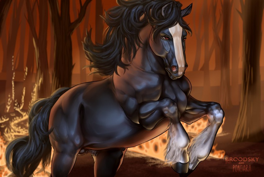 animal_genitalia balls black_body black_hair black_mane black_tail facial_markings feathering feral fire forest_fire fur genitals hair head_markings hooves looking_forward male mane markings on_hind_legs plant red_eyes sheath solo tail tree broodsky jaribka clyde_(wasen) draft_horse equid equine horse mammal