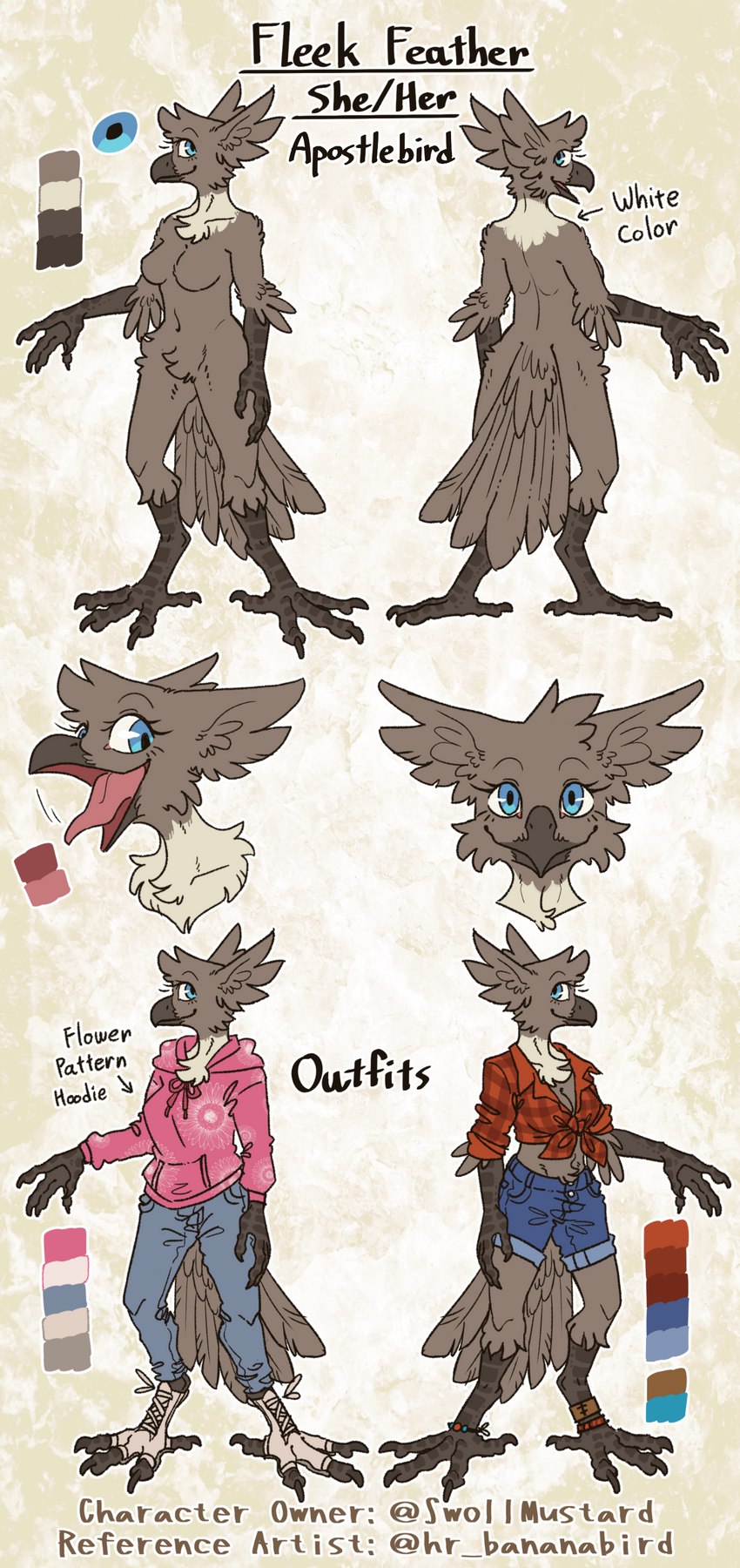 anthro clothed clothing female multiple_poses nude pose solo text hr_bananabird fleek_feather apostlebird avian bird corcoracidae corvid oscine passerine absurd_res english_text hi_res model_sheet