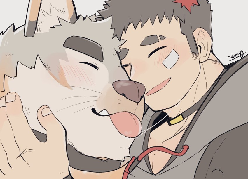 anthro bandage bandage_on_face blep blush duo eyes_closed male male/male smile tongue tongue_out igarashi_ta lifewonders live_a_hero canes_(live_a_hero) sterio canid canine canis domestic_dog human mammal