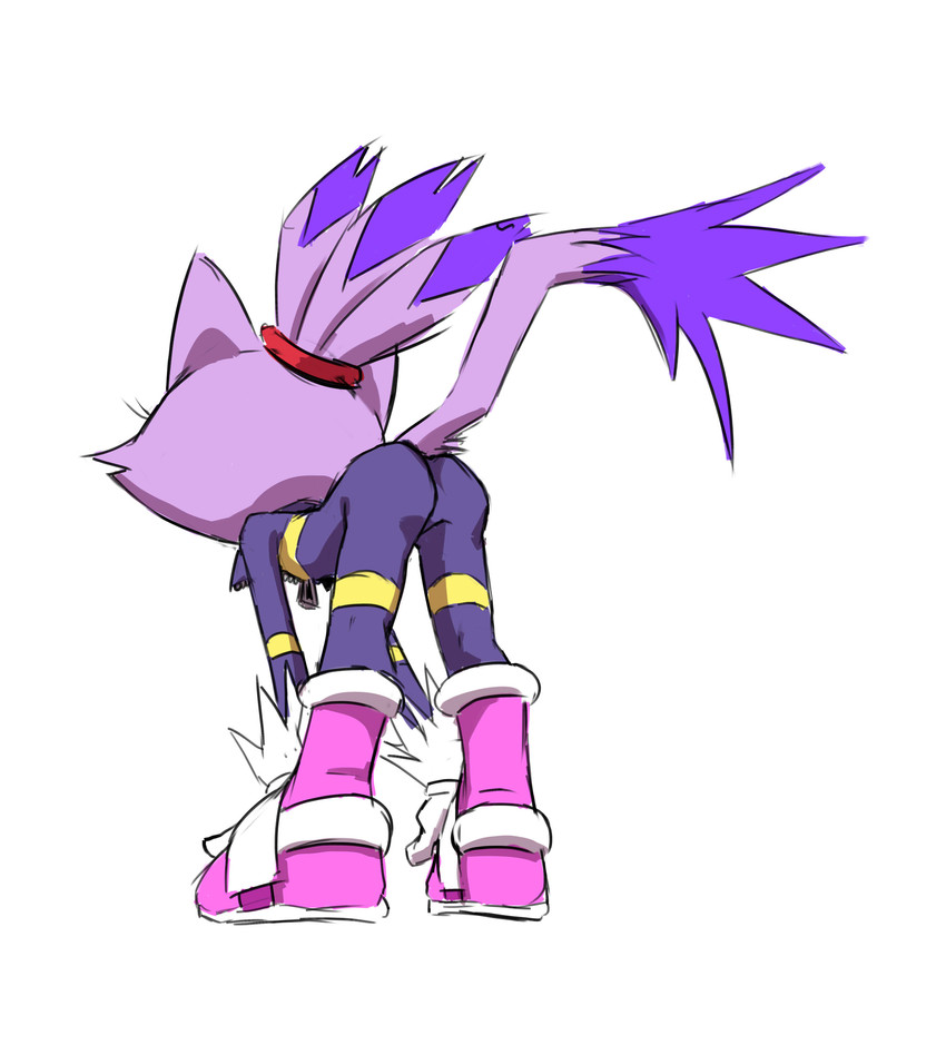 blaze the cat (sonic the hedgehog (series) and etc) created by adam bryce thomas