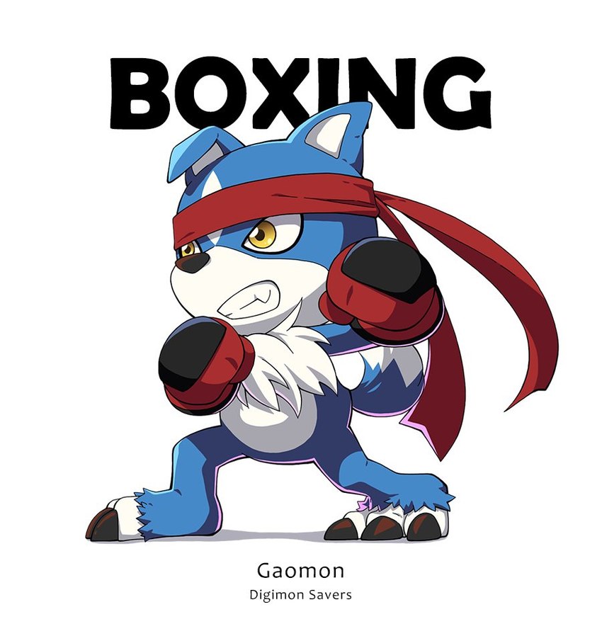 accessory anthro blue_body blue_fur boxing_gloves claws clenched_teeth clothing curled_tail fur handwear headband male solo tail teeth text yellow_eyes op7804620 bandai_namco digimon canid canine digimon_(species) gaomon mammal english_text