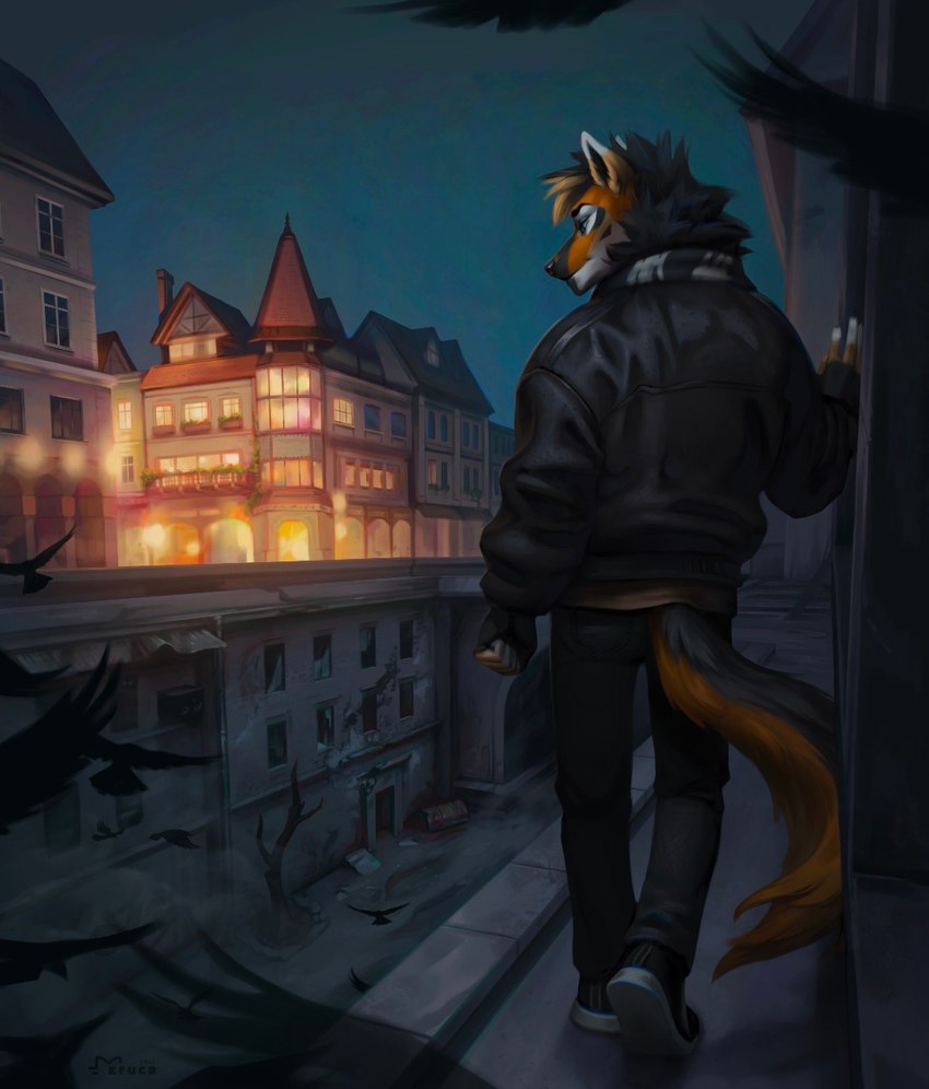 anthro clothed clothing detailed_background eyebrows eyelashes male night outside solo standing eruca canid canine fox mammal 2022 digital_media_(artwork) digital_painting_(artwork) hi_res