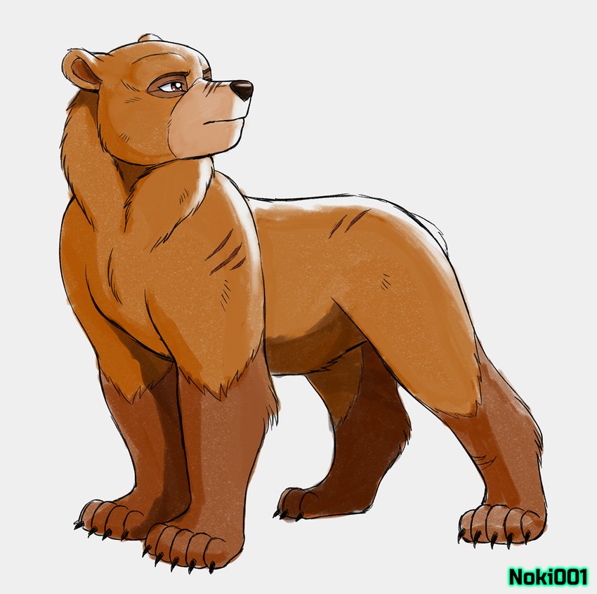 ambiguous_gender black_nose brown_body brown_fur claws feral fur looking_back mouth_closed paws round_ears scar short_tail simple_background solo standing tail white_background noki001 brother_bear disney kenai_(brother_bear) bear mammal