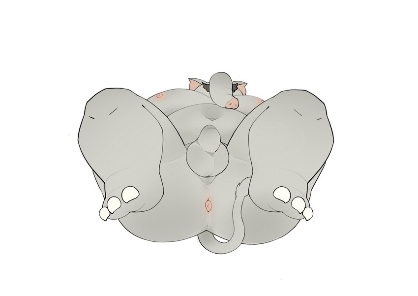 anthro anus balls belly butt facial_hair foreskin genitals grey_body lying male moobs mustache navel nipples on_back overweight overweight_male penis proboscis_(anatomy) solo trunk_(anatomy) haoming mario_bros nintendo super_mario_bros_wonder elephant_mario mario elephant elephantid mammal proboscidean hi_res