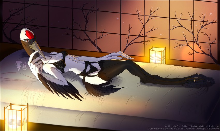 anthro beak bed biped bra breasts clothing digit_ring digitigrade feathered_wings feathers feet female furniture inside jewelry lamp lantern legwear long_legs lying non-mammal_breasts on_back on_bed red_eyes ring solo stockings talons text toe_ring toes underwear white_body white_feathers wings lady_owl yuriko_(aidagull) avian bird crane_(bird) gruiform grus_(genus) red-crowned_crane 2014 english_text hi_res