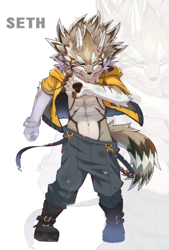 anthro black_nose claws clothed clothing countershading fur green_eyes hoodie male muscular muscular_anthro muscular_male open_clothing open_hoodie open_topwear sagging sagging_pants solo topwear art_hoshi wl02024945 lifewonders tokyo_afterschool_summoners seth_(tas) canid canine canis jackal mammal 2018 digital_media_(artwork) hi_res